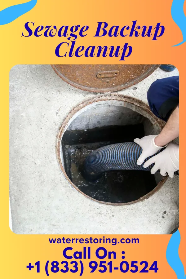 Sewage Backup Cleanup in Senatobia, MS